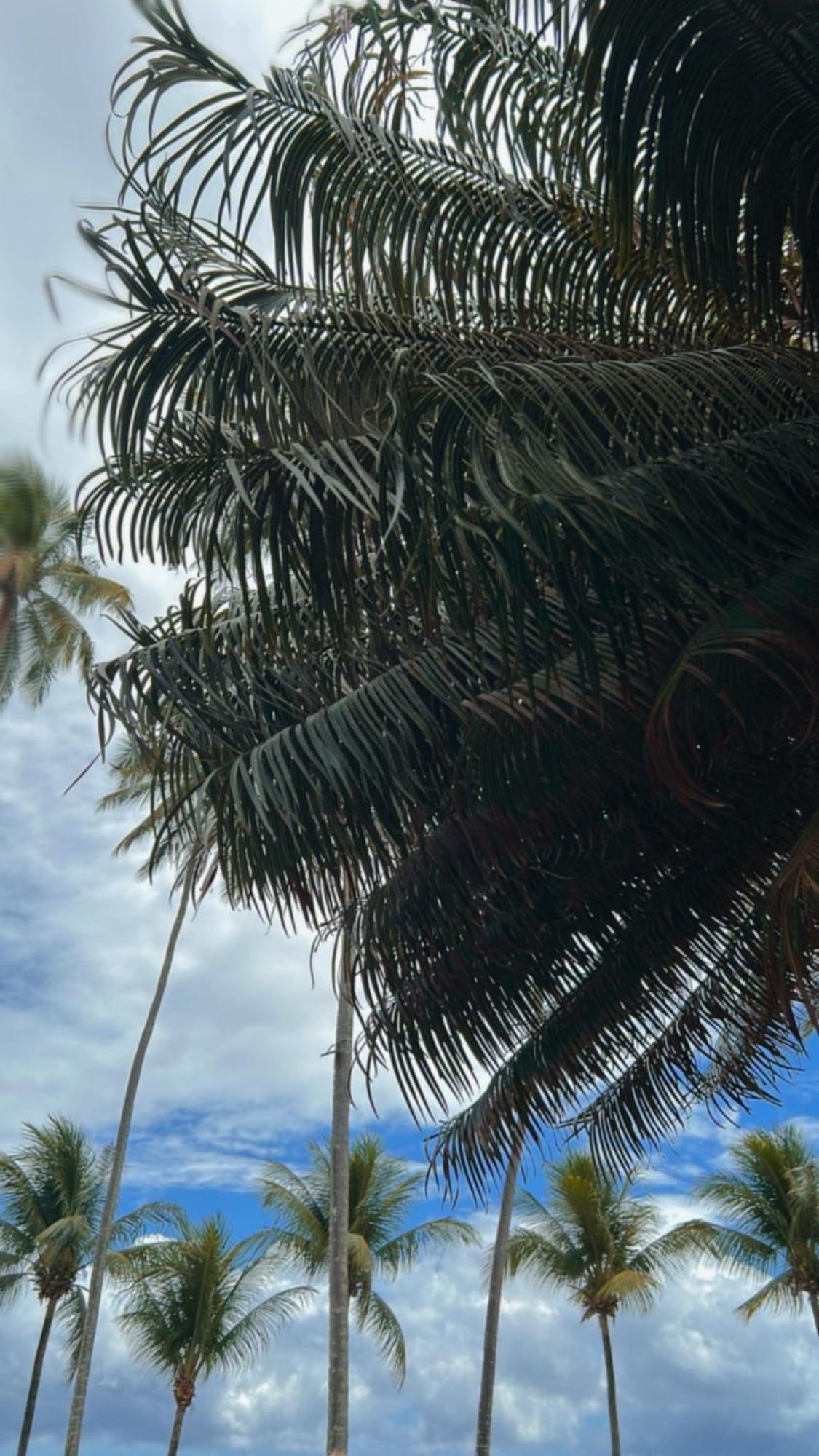 Pousada Villa Mar Porto ปอร์โต จิ กาลินญาส ภายนอก รูปภาพ